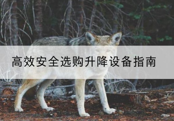 固阳升降货梯厂家推荐-*安全选购升降设备指南