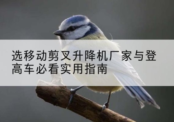 固阳电动升降机厂家-选移动剪叉升降机厂家与登高车必看实用指南